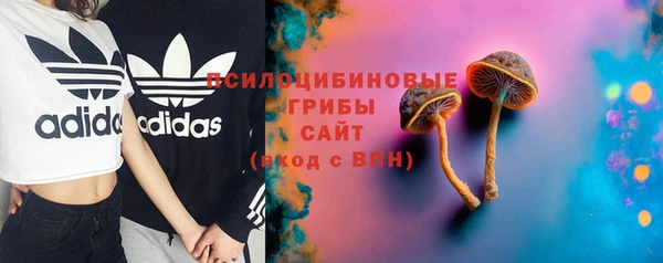 мдпв Богородицк