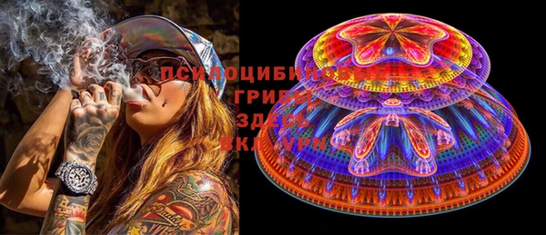 мдпв Богородицк