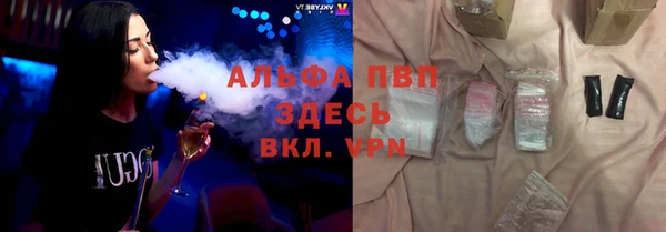 твердый Богданович
