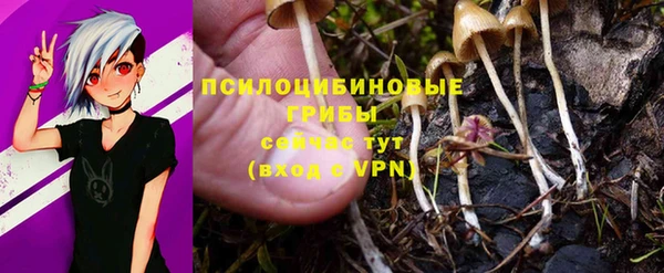 твердый Богданович