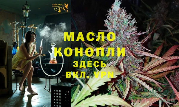 мдпв Богородицк