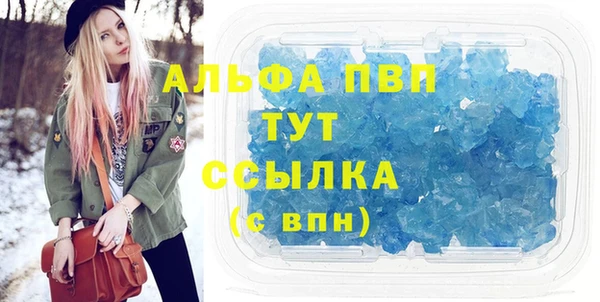 твердый Богданович
