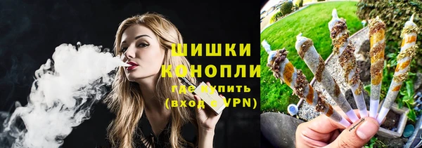 твердый Богданович