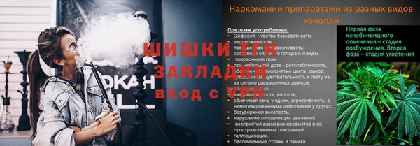 твердый Богданович