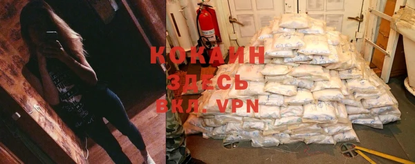 мдпв Богородицк