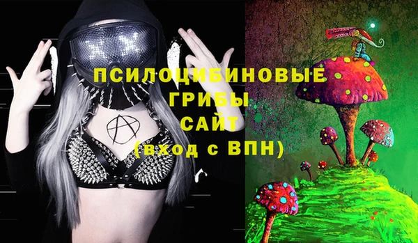 мдпв Богородицк