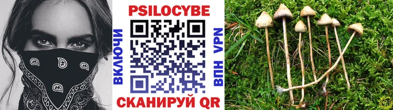 магазин  наркотиков  Каневская  Псилоцибиновые грибы Cubensis 